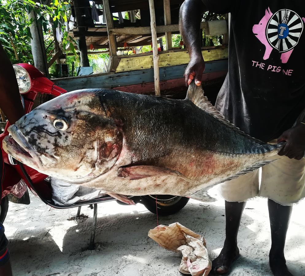 Kae Funk Zanzibar Hotel Michamvi Eksteriør billede