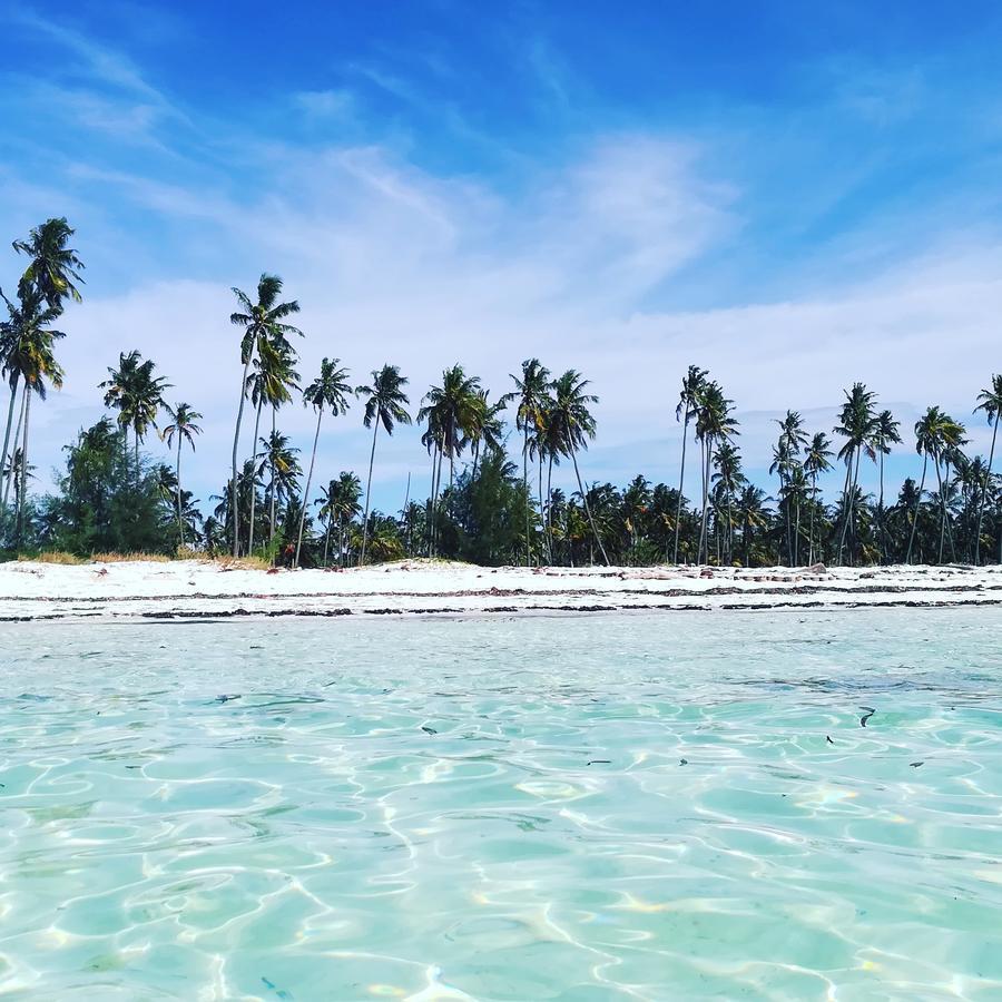 Kae Funk Zanzibar Hotel Michamvi Eksteriør billede