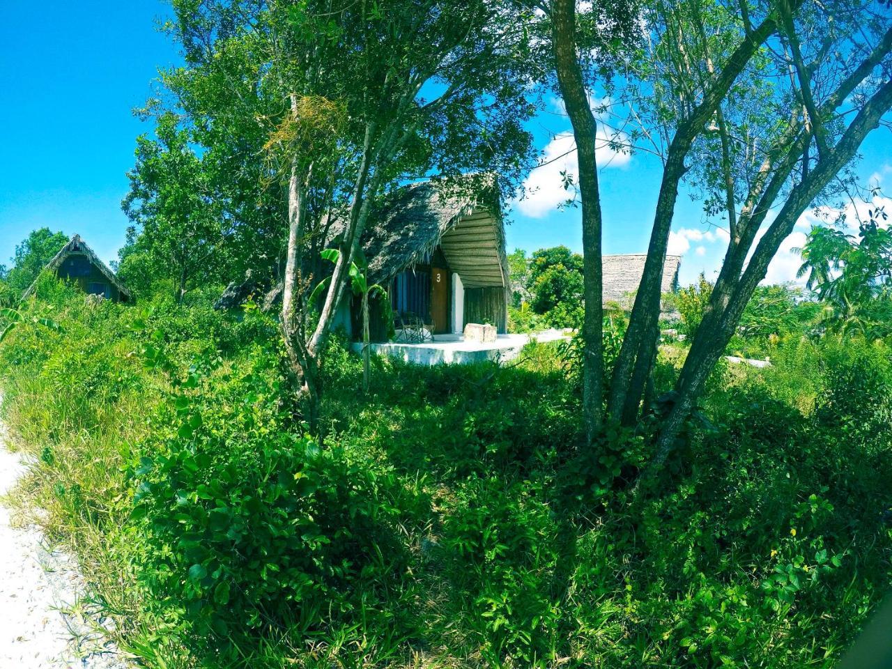 Kae Funk Zanzibar Hotel Michamvi Eksteriør billede